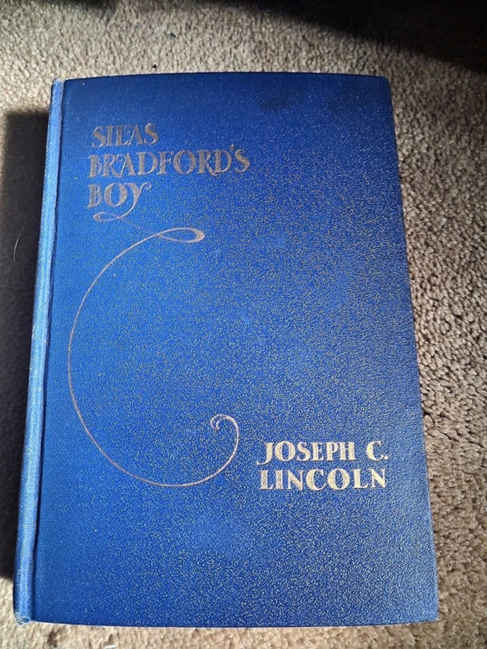 D. Appleton & Company Silas Bradford's Boy Vintage Hardcover Book